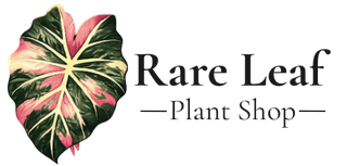 Rare Leaf Plant Shop logo
